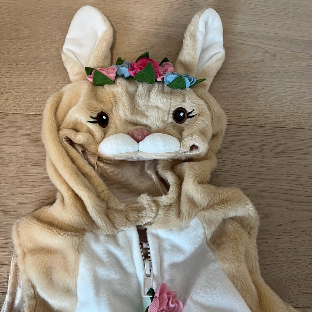 Bunny Costume